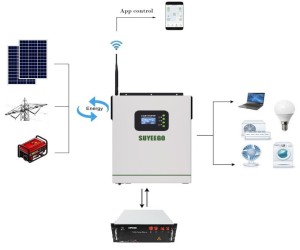 main_image_5 (1).jpg