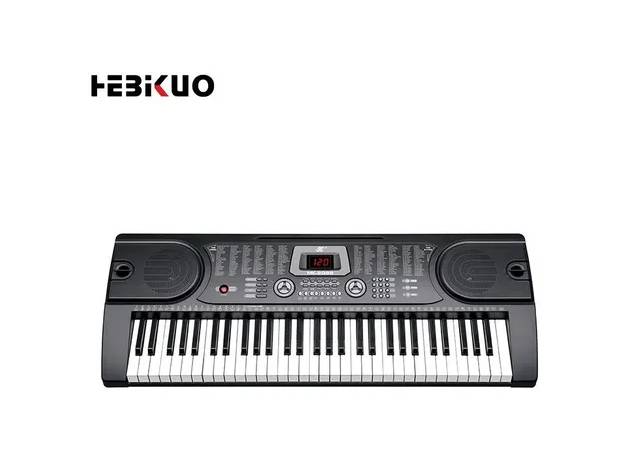 Teclado Organo Mk-2089 61 Teclas 255 Ritmos 255 Tonos
