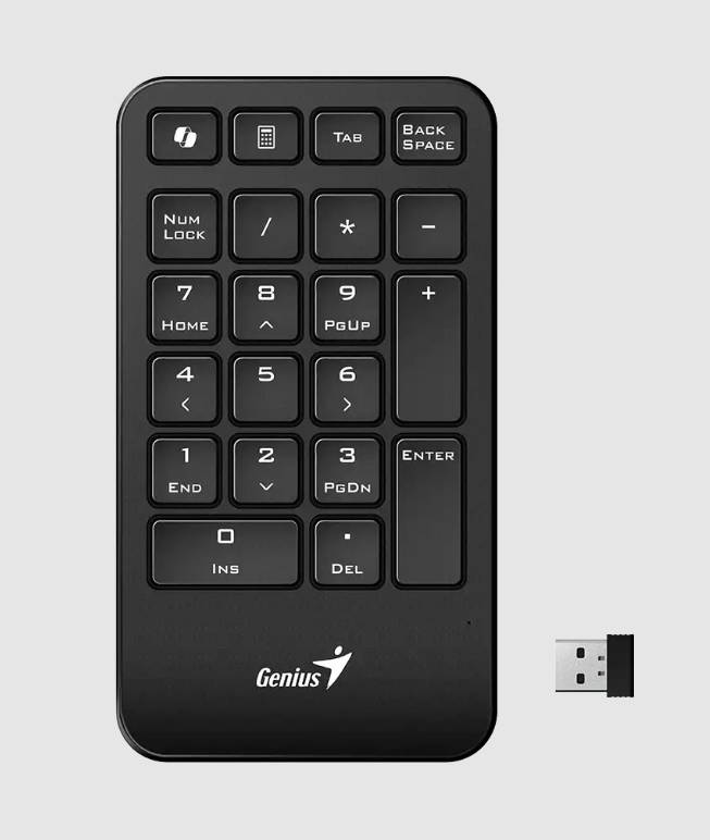 Teclado Genius numérico numpad 1000 