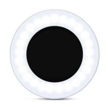Lampara led redonda mini aro de luz fría y cálida