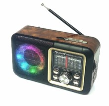 Radio Golon RX-1717SD AM FM HBCH 050
