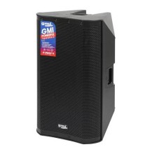 Parlante amplificado GMI-PRO 15 caja activa con USB DSP BT 800w